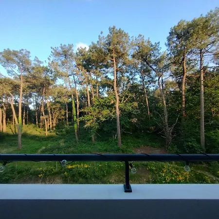 Apartman Neuf A 50 M² *